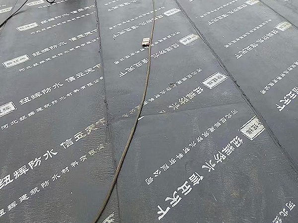 ʩֳ